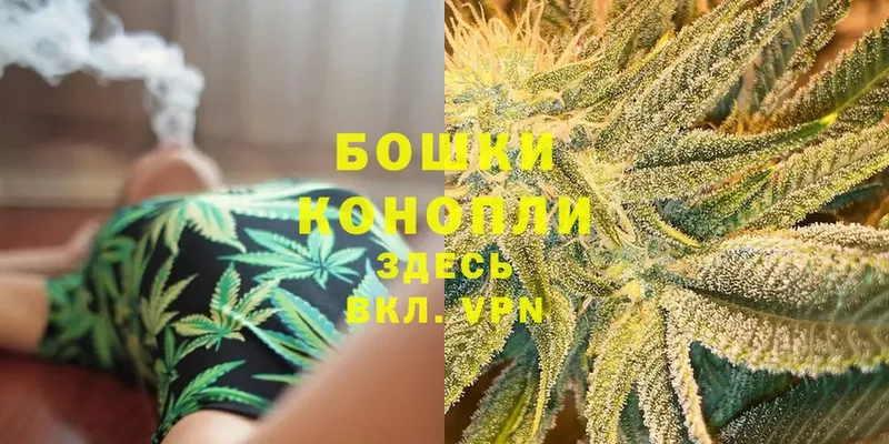 купить  цена  MEGA ссылки  Каннабис конопля  Орлов 